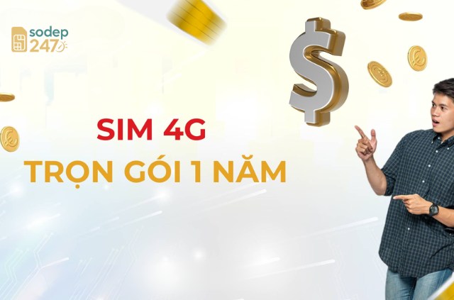 Sim trọn gói 1 năm là gì