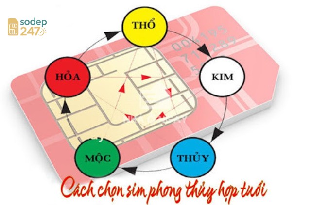 Sim Phong Thủy Hợp Tuổi