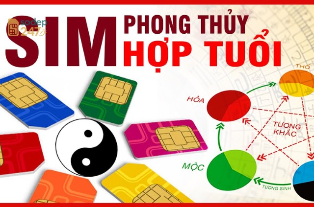 Sim Phong Thủy Hợp Tuổi