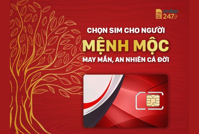 Sim phong thủy mệnh mộc mang lại may mắn