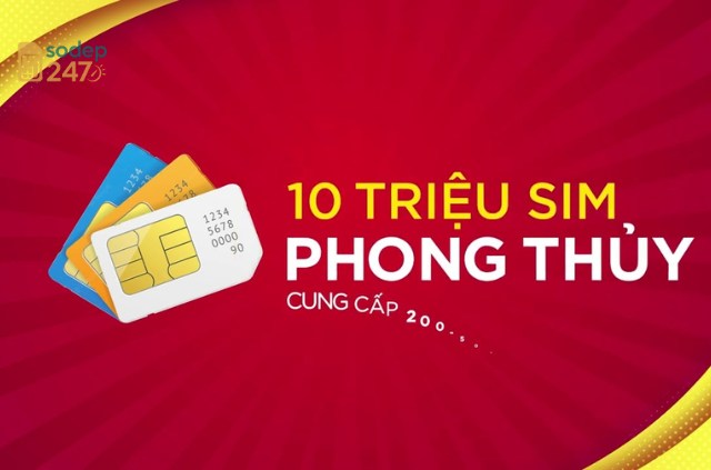 Các loại Thăng Long Sim